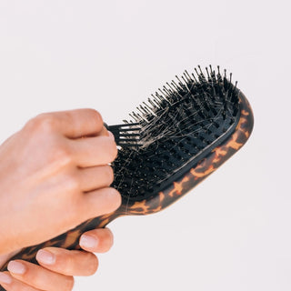 Teleties Boar Bristle Hair Brush | Tortoise