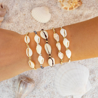 Lotus & Luna Driftwood Braided Shell Bracelet