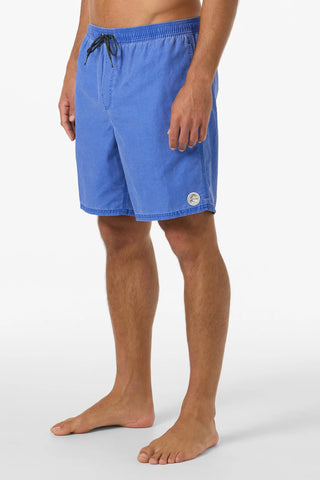 O'Neill O'Riginals Fader 17" Swim Trunks