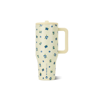 HydroJug Traveler